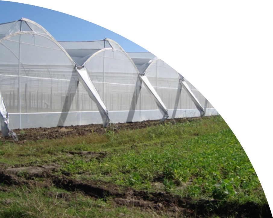 Plástico para invernaderos